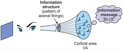 Information and the Origin of Qualia